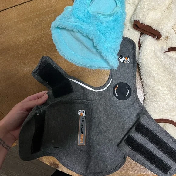 Small Dog Clothes Bundle - Picture 5 of 8